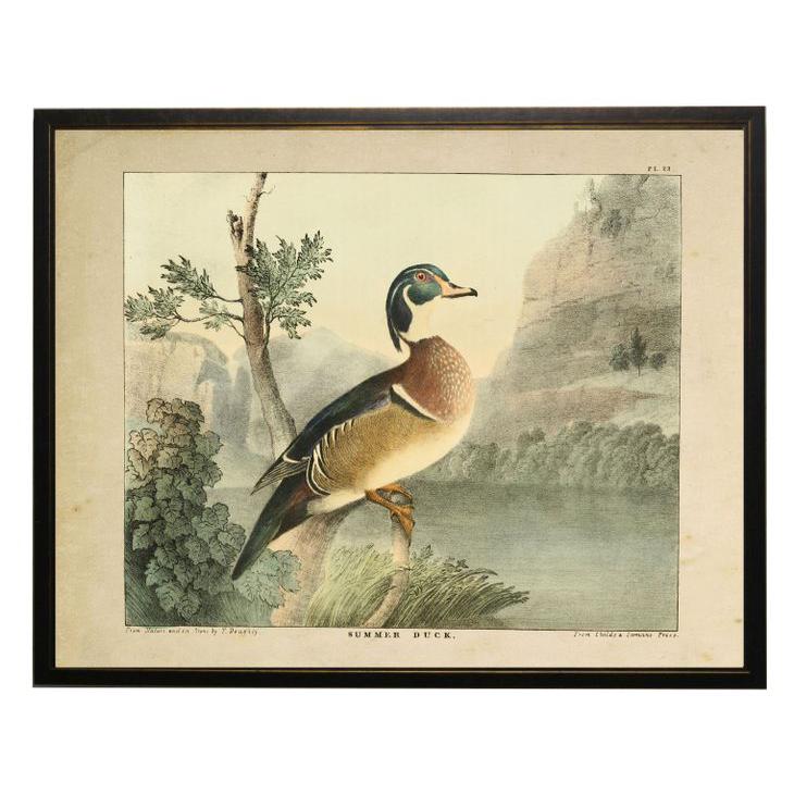 Vintage Wood Duck Framed Print-Home/Giftware-Kevin's Fine Outdoor Gear & Apparel